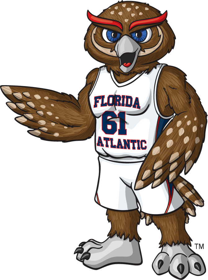 Florida Atlantic Owls 2014-2015 Mascot Logo DIY iron on transfer (heat transfer)